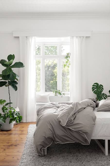 plants-in-bedroom-decor-ideas-for-bedroom